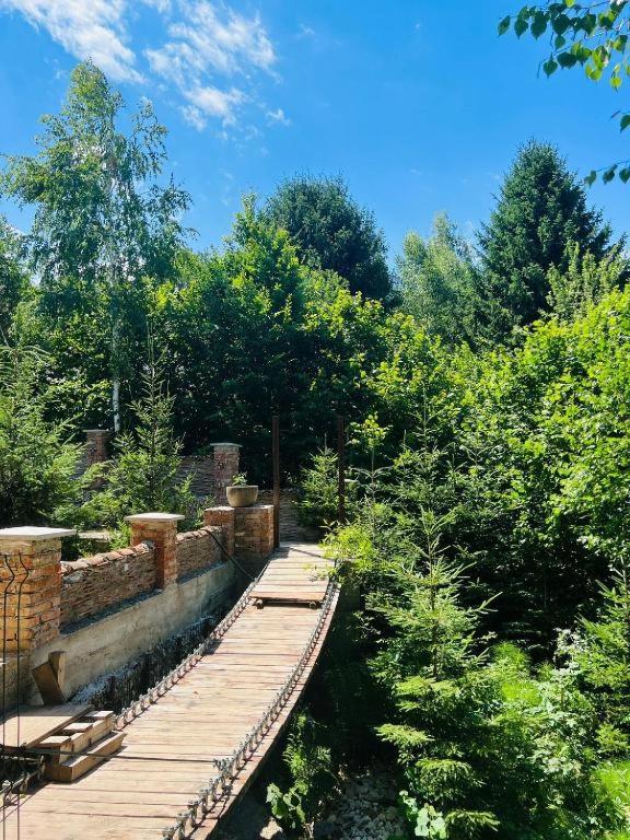 Casa Cu Mesteceni Rîşnov Luaran gambar