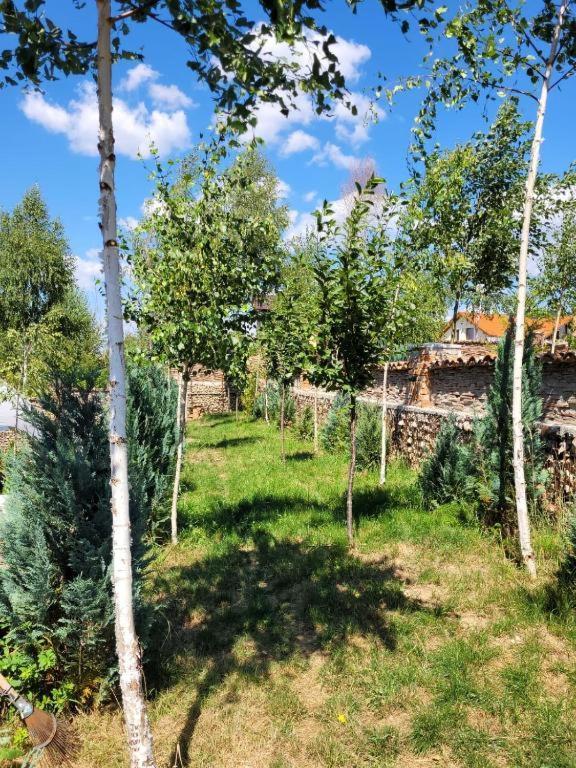 Casa Cu Mesteceni Rîşnov Luaran gambar