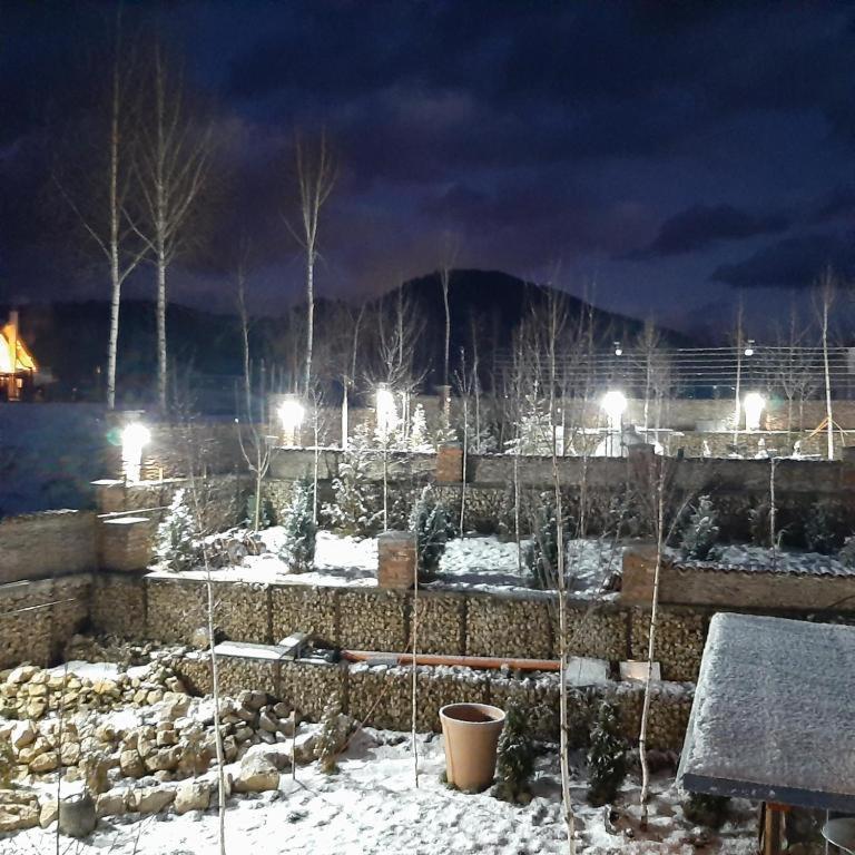 Casa Cu Mesteceni Rîşnov Luaran gambar
