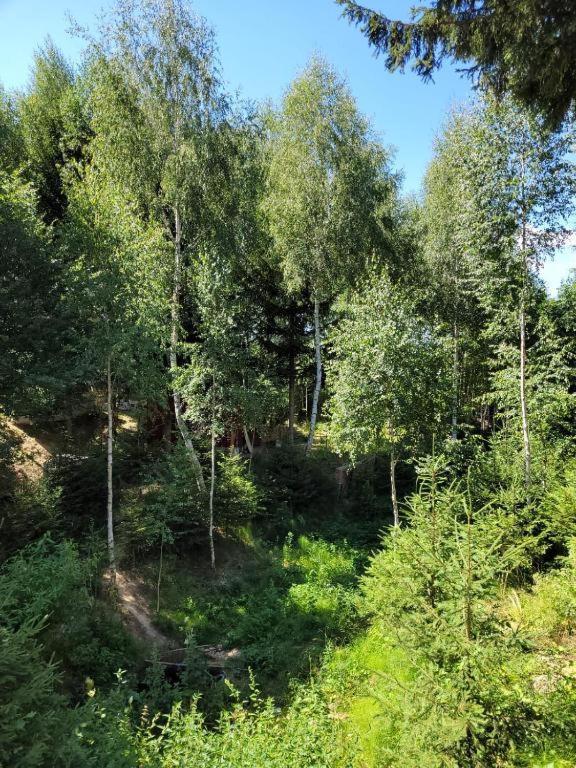 Casa Cu Mesteceni Rîşnov Luaran gambar