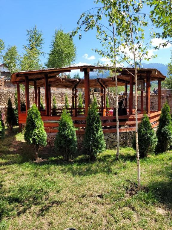 Casa Cu Mesteceni Rîşnov Luaran gambar