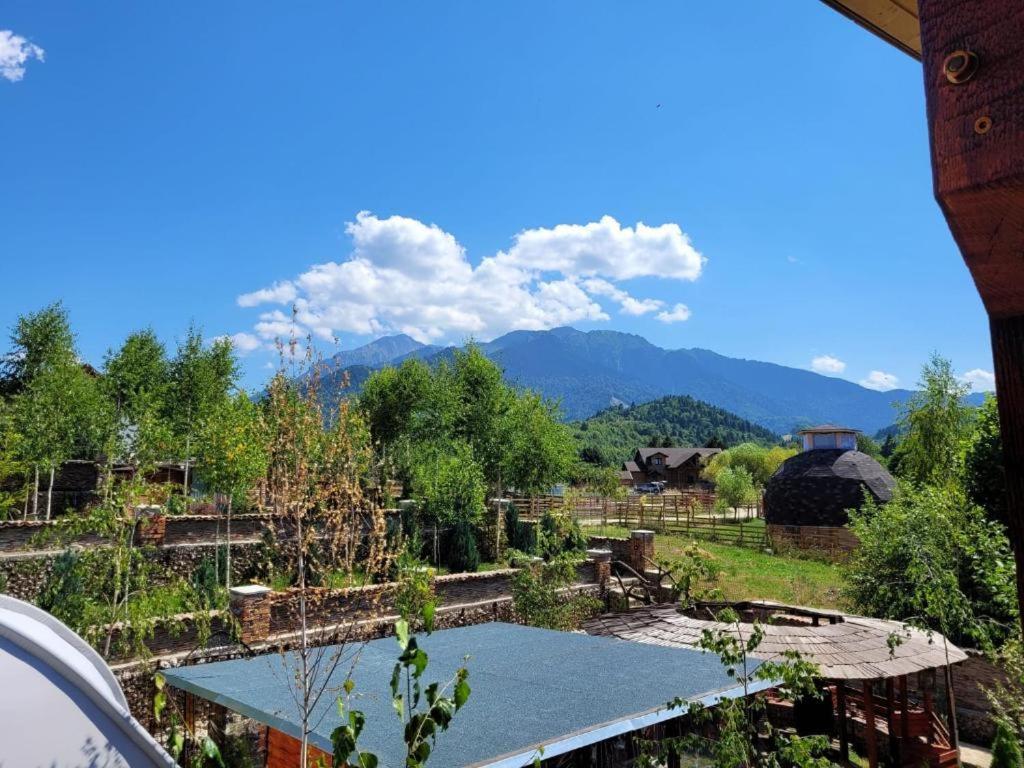 Casa Cu Mesteceni Rîşnov Luaran gambar